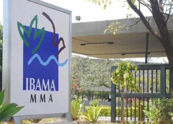 Ibama nega licença para usina termelétrica a gás natural em Brasília