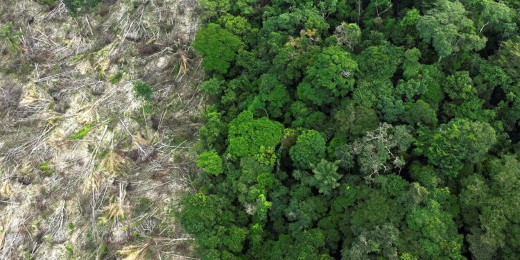 Mudanças climáticas já afetam cotidiano da população na Amazônia Legal