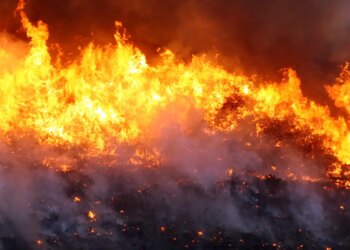 Brigadistas combatem incêndio em Cavalcante, Goiás