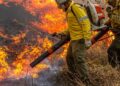 Pré-COP: Brasil propõe resposta global a incêndios florestais