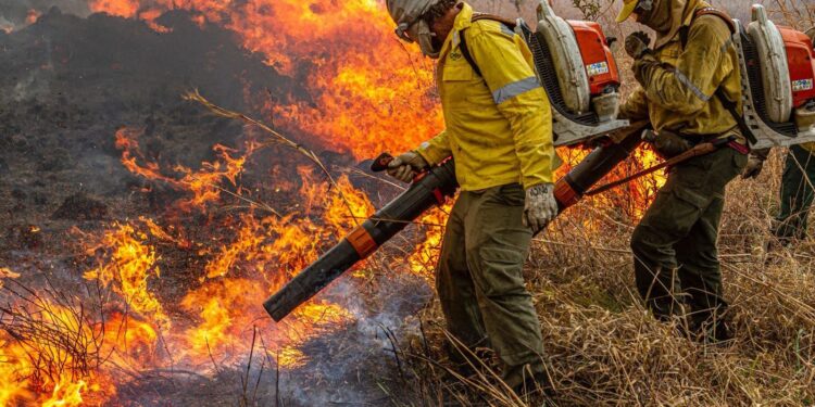 Pré-COP: Brasil propõe resposta global a incêndios florestais