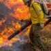 Pré-COP: Brasil propõe resposta global a incêndios florestais