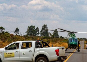 Chuva ajudou no combate a incêndios na Chapada dos Veadeiros