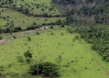 Governo prorroga prazo para georreferenciamento de imóveis rurais