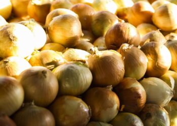 Inflação acumulada dos alimentos é a menor desde setembro de 2024