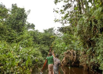 França lidera ação de US$ 2,5 bilhões para proteger floresta do Congo