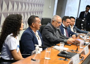 Especialistas defendem assistência estudantil para indígenas universitários — Senado Notícias