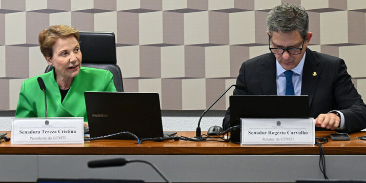 Senadores vão propor regras para mineração em terras indígenas — Senado Notícias