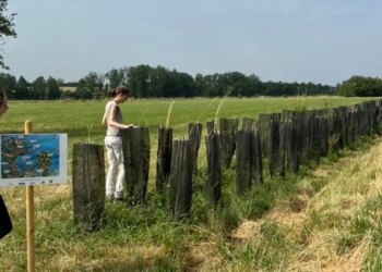lavoura e árvores reduzem impacto de mudança climática| Agência Brasil