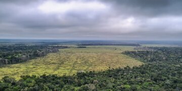 STF suspende todos os processos do país sobre Moratória da Soja 
