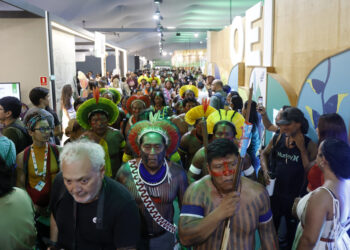 Senado participa de discussões e lança obras de temática ambiental na COP 30 — Senado Notícias