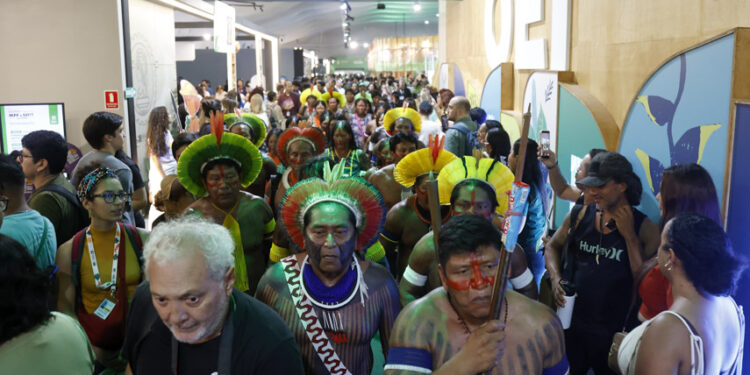 Senado participa de discussões e lança obras de temática ambiental na COP 30 — Senado Notícias