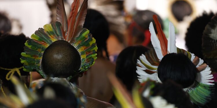 Demarcar terras dá segurança a quem protege o meio ambiente, diz MJ