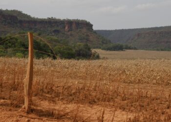 Fronteira Cerrado: acesso desigual ao Estado agrava conflitos agrários