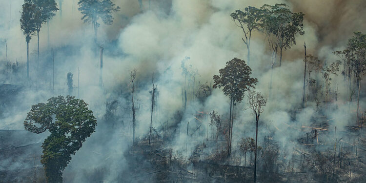 Combate à desinformação na agenda climática e o papel do Senado na COP 30 — Senado Notícias