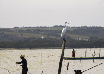 Gestão do seguro-defeso passa oficialmente ao Ministério do Trabalho