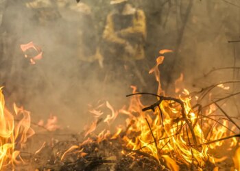 Pantanal é o bioma mais atingido pelo aumento da temperatura no país