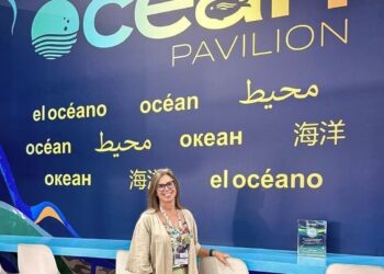 COP30: oceanos podem cortar 35% das emissões de CO₂ até 2050