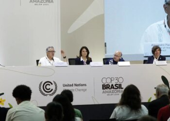 Brasil recebe doação de US$ 300 milhões para plano de saúde climática