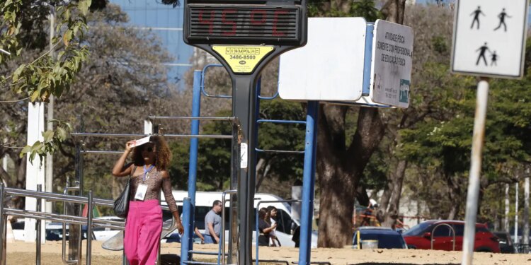 Efeitos das mudanças do clima agravam alergias, diz especialista