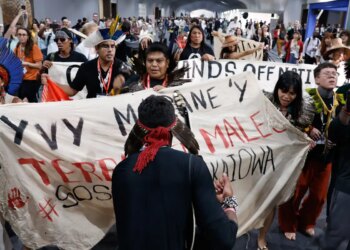 Demarcação de terras e maior participação mobilizaram protestos na COP