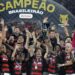 Flamengo derrota Ceará e coroa ano mágico com título Brasileiro
