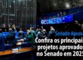 confira os principais projetos aprovados no Senado em 2025 — Senado Notícias