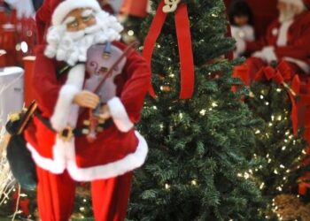 Hoje é Dia: Natal, solstício de verão e Cristina Buarque são destaques