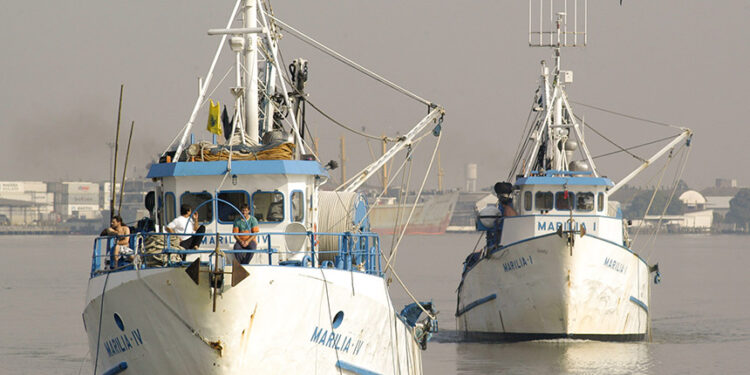 Lei regulamenta profissão de marinheiro de esporte e recreio — Senado Notícias