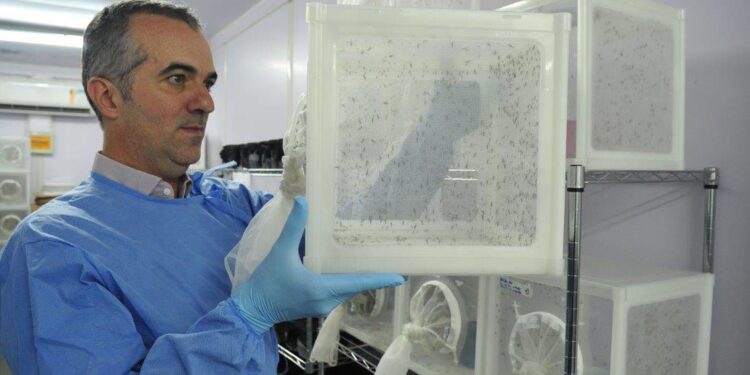 Brasileiro criador do “Aedes” que bloqueia dengue é eleito pela Nature