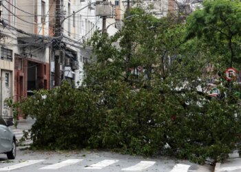 Prefeitura fecha todos os parques de São Paulo por causa dos ventos