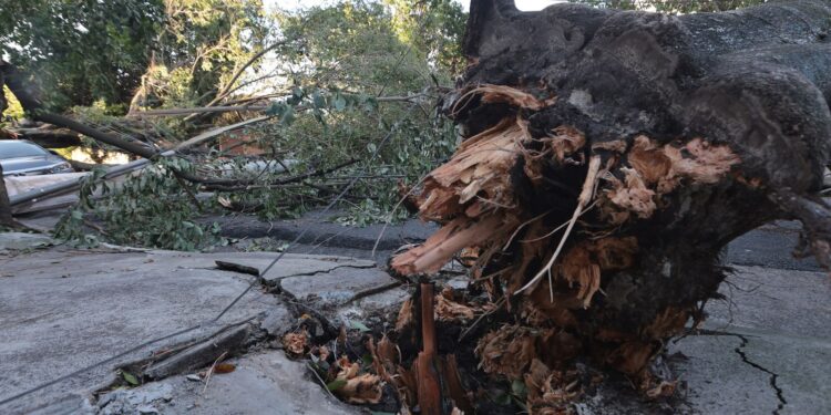MIDR reconhece situação de emergência em 21 municípios 