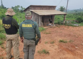 PF prende suspeito de assassinato de parceiro do Ibama na TI Apyterewa