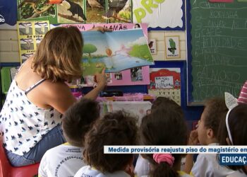 Novo piso salarial dos professores entra em vigor e será avaliado pelo Congresso — Senado Notícias