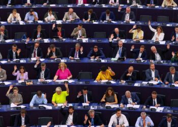 Parlamento Europeu pede que Justiça avalie acordo com Mercosul