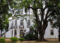 Museus da Funarj aderem à rede antirracista do Instituto Pretos Novos