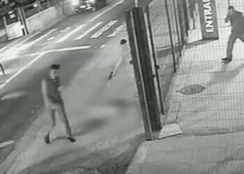 Cachorro é morto com dez tiros em frente a ponto de ônibus em SP