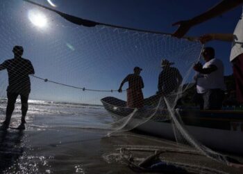 Senado avalia prevenção para pescadores e trabalhadores rurais — Senado Notícias
