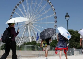 Europa: temperatura alta pode elevar transmissão do vírus Chikungunya