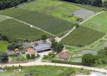 Projeto cria Sistema Nacional de Geocercas Rurais para segurança no campo — Senado Notícias