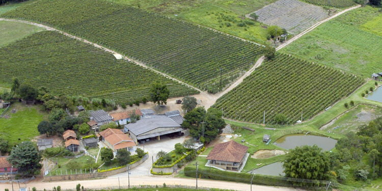 Projeto cria Sistema Nacional de Geocercas Rurais para segurança no campo — Senado Notícias