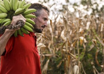 Câmara aprova uso de recursos do FGO em operações do Pronaf