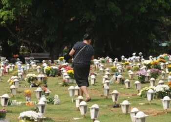 Cães e gatos podem ser sepultados em jazigos familiares em São Paulo