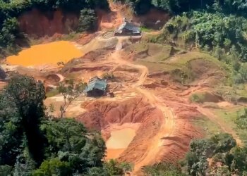 Lei do licenciamento ambiental entra em vigor com ações no STF