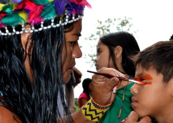 MEC anuncia construção de 117 escolas indígenas no Brasil