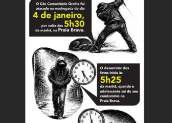 Cão Orelha: Polícia usa imagens e dados de celular para desvendar caso