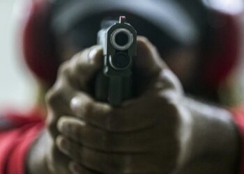 Controle de armamentos não é prioridade dos estados, diz Sou da Paz