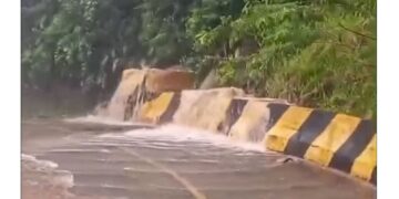 Chuvas desabrigam mais de 300 pessoas em Peruíbe