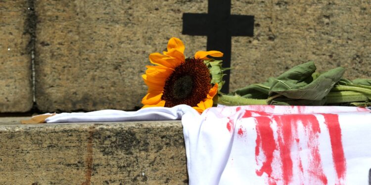 Estado de São Paulo tem aumento de feminicídios em janeiro deste ano