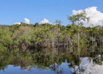 Governo levantou R$ 179 bi desde 2023 para transição ecológica